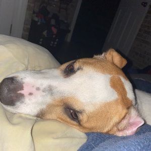 Meet your Posher, Valentina